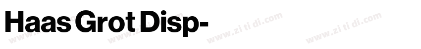 Haas Grot Disp字体转换